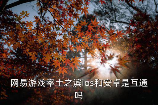 网易游戏率土之滨ios和安卓是互通吗