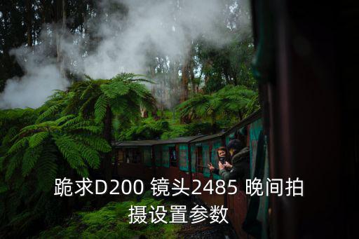 跪求D200 镜头2485 晚间拍摄设置参数