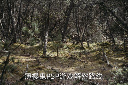 薄樱鬼PSP游戏解密路线