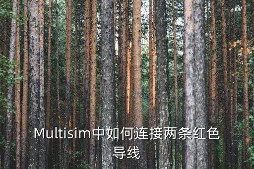 Multisim中如何连接两条红色导线