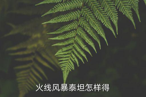 火线风暴泰坦怎样得