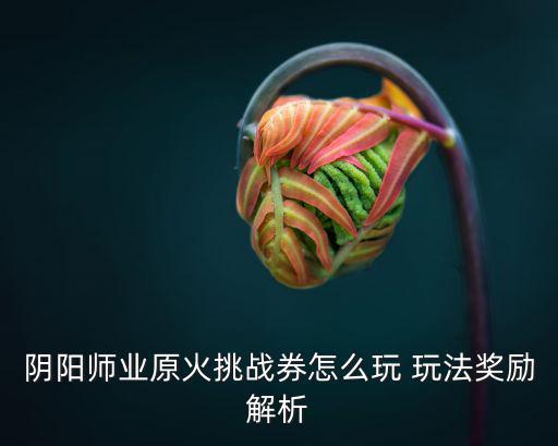 阴阳师业原火挑战券怎么玩 玩法奖励解析