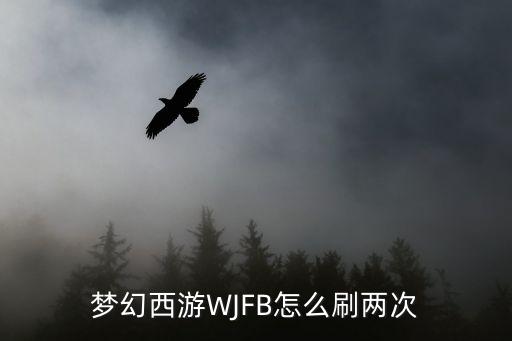 梦幻手游王者之殇怎么打两次，梦幻西游 WJ副本怎样刷两次