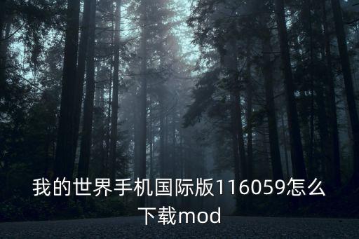 我的世界手机国际版116059怎么下载mod