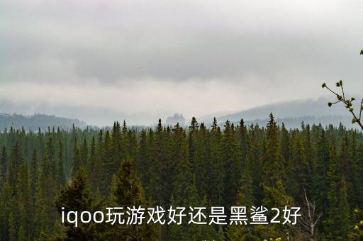 iqoo手游怎么样，vivo iq00玩游戏怎么样能比苹果强吗