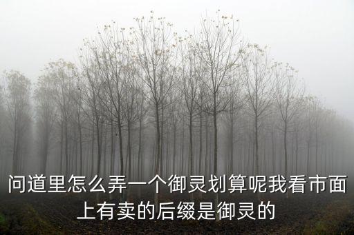 问道里怎么弄一个御灵划算呢我看市面上有卖的后缀是御灵的