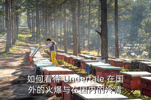 如何看待 Undertale 在国外的火爆与在国内的冷清