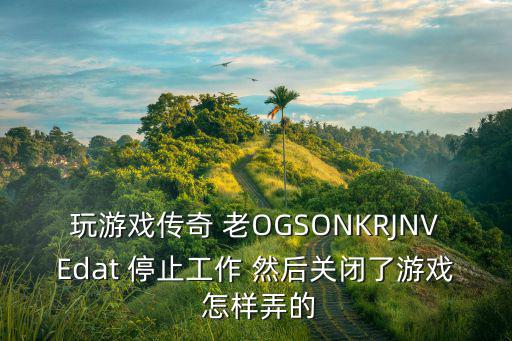 玩游戏传奇 老OGSONKRJNVEdat 停止工作 然后关闭了游戏 怎样弄的