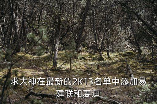 求大神在最新的2K13名单中添加易建联和麦迪