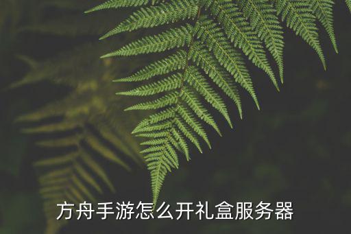 方舟手游怎么开礼盒服务器