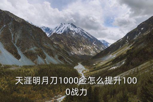 天涯明月刀1000金怎么提升1000战力