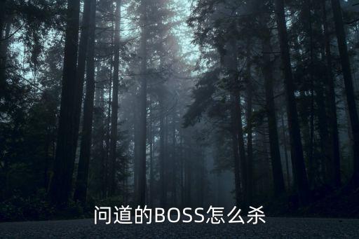 问道的BOSS怎么杀