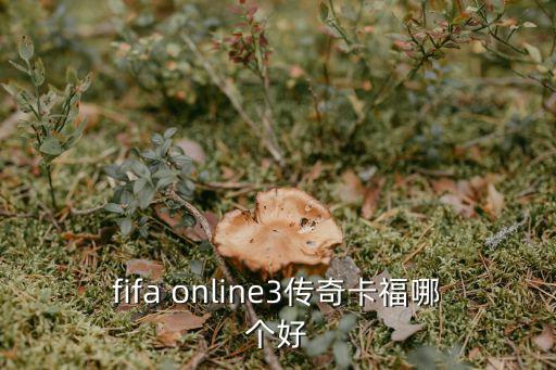 fifa online3传奇卡福哪个好