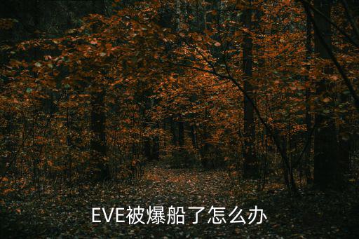 EVE被爆船了怎么办