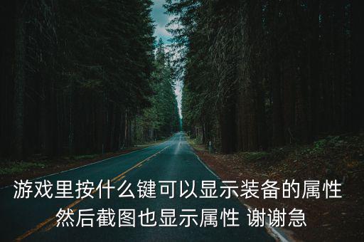 游戏里按什么键可以显示装备的属性 然后截图也显示属性 谢谢急