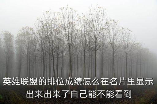 英雄联盟的排位成绩怎么在名片里显示出来出来了自己能不能看到