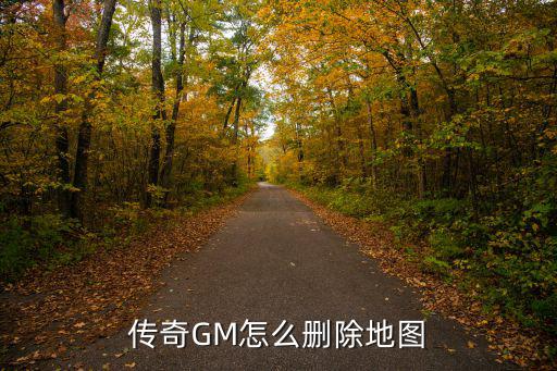 传奇GM怎么删除地图