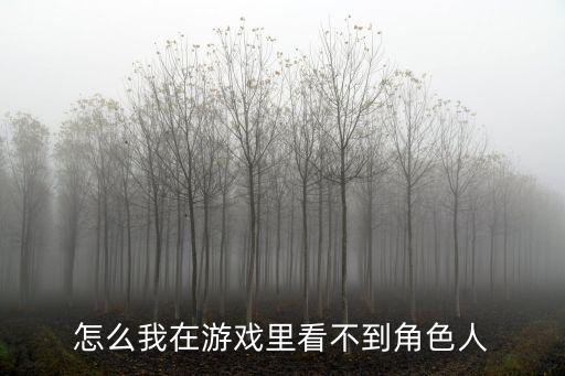 怎么我在游戏里看不到角色人