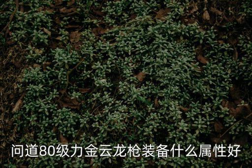 手游问道80级力金武器怎么选，问道80级金系全力的武器和防具要怎么选呢最好是有图片JP