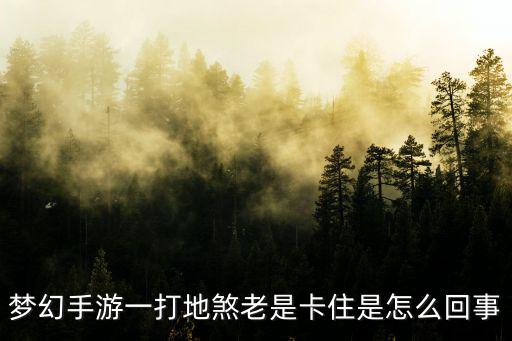 梦幻手游一打地煞老是卡住是怎么回事