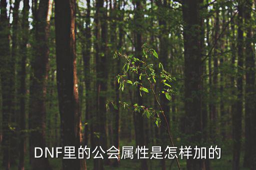 DNF里的公会属性是怎样加的