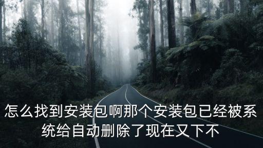 怎么找到安装包啊那个安装包已经被系统给自动删除了现在又下不