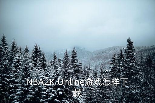 NBA2K Online游戏怎样下载