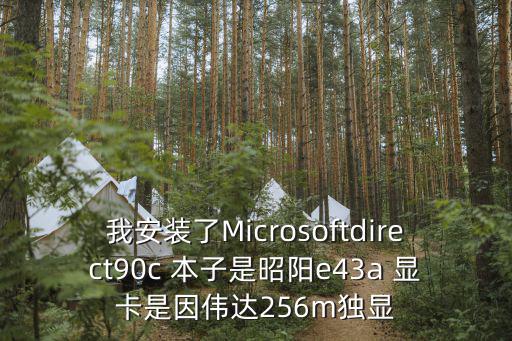 我安装了Microsoftdirect90c 本子是昭阳e43a 显卡是因伟达256m独显