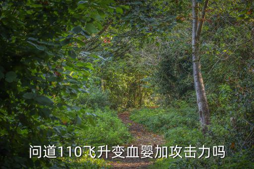 问道110飞升变血婴加攻击力吗