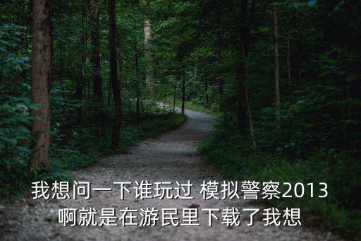 我想问一下谁玩过 模拟警察2013啊就是在游民里下载了我想