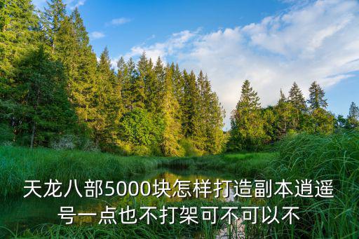 天龙八部5000块怎样打造副本逍遥号一点也不打架可不可以不