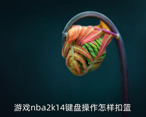 游戏nba2k14键盘操作怎样扣篮