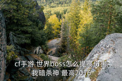 cf手游 世界boss怎么提高伤害 我暗杀神 最高2016