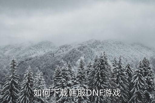 如何下载韩服DNF游戏