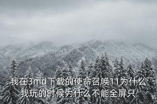 我在3md下载的使命召唤11为什么我玩的时候为什么不能全屏只