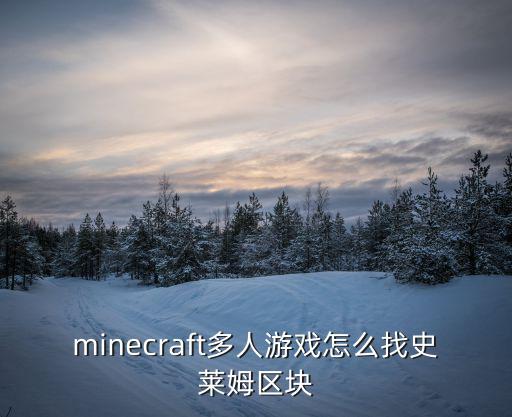 minecraft多人游戏怎么找史莱姆区块