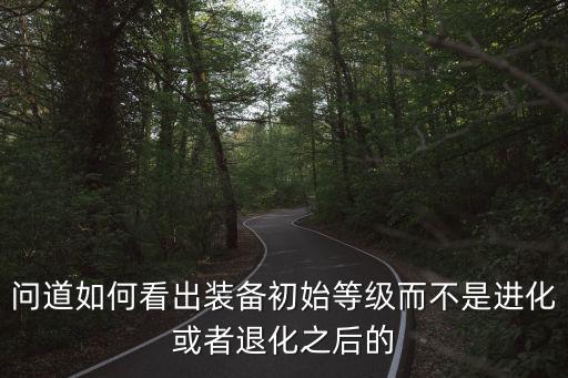 问道如何看出装备初始等级而不是进化或者退化之后的