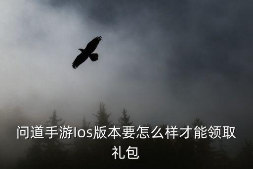 问道手游Ios版本要怎么样才能领取礼包