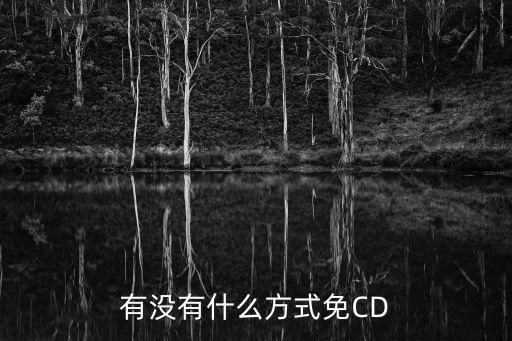 有没有什么方式免CD