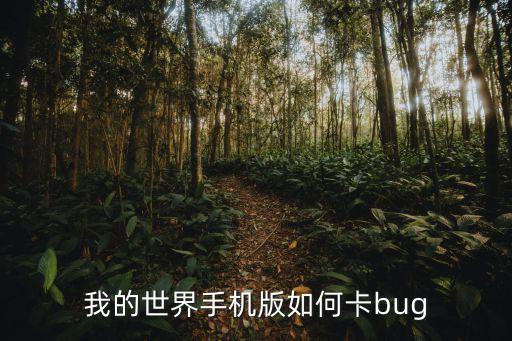 我的世界手机版如何卡bug