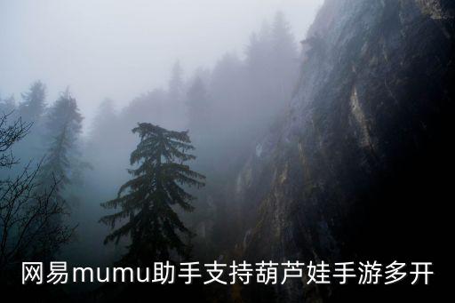 网易mumu助手支持葫芦娃手游多开