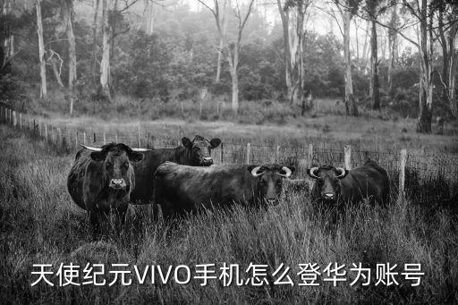 天使纪元VIVO手机怎么登华为账号