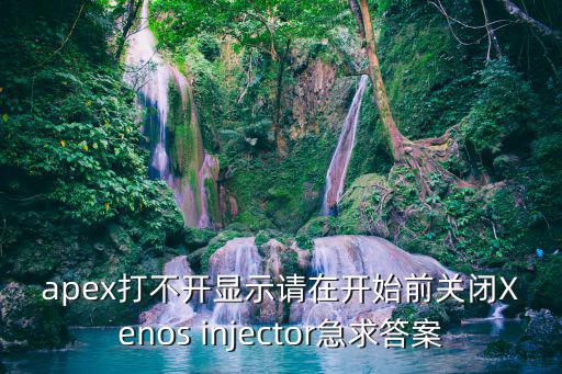 apex打不开显示请在开始前关闭Xenos injector急求答案