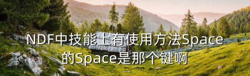 NDF中技能上有使用方法Space的Space是那个键啊