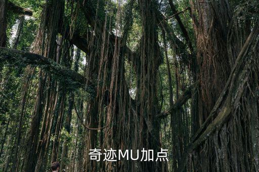 奇迹MU加点