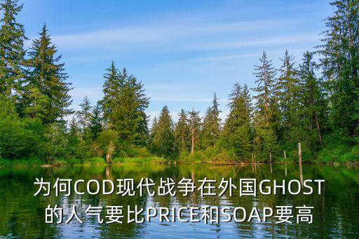 为何COD现代战争在外国GHOST的人气要比PRICE和SOAP要高