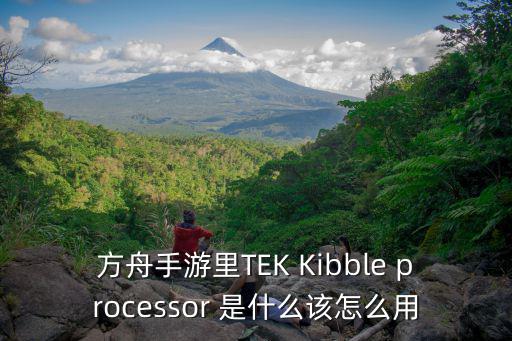 方舟手游里TEK Kibble processor 是什么该怎么用