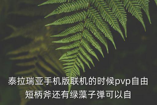 泰拉瑞亚手机版联机的时候pvp自由短柄斧还有绿藻子弹可以自