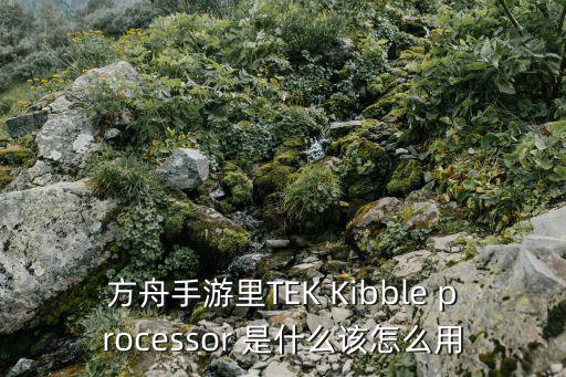 方舟手游里TEK Kibble processor 是什么该怎么用