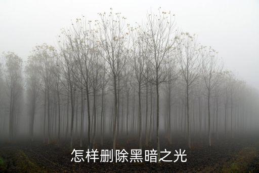 怎样删除黑暗之光